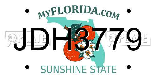 JDH3779 Florida License Plate