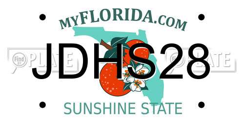 JDHS28 Florida License Plate