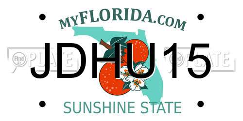JDHU15 Florida License Plate
