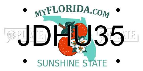 JDHU35 Florida License Plate