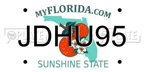 JDHU95 Florida License Plate
