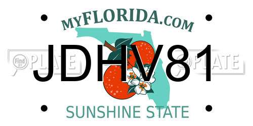 JDHV81 Florida License Plate