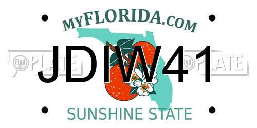 JDIW41 Florida License Plate