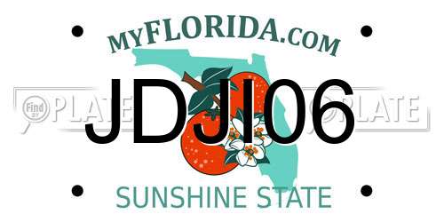 JDJI06 Florida License Plate