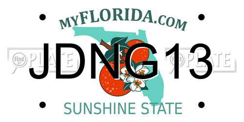 JDNG13 Florida License Plate