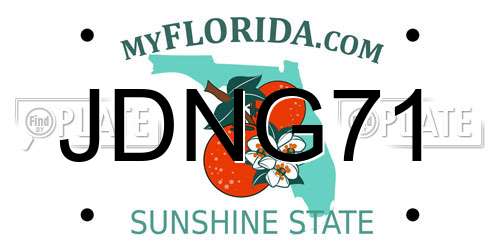 JDNG71 Florida License Plate