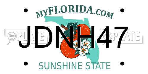 JDNH47 Florida License Plate