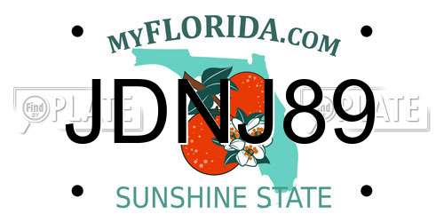 JDNJ89 Florida License Plate