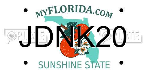 JDNK20 Florida License Plate