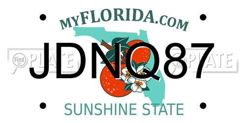 JDNQ87 Florida License Plate