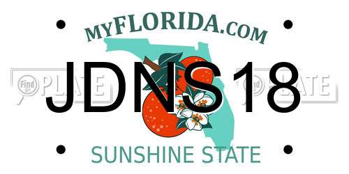 JDNS18 Florida License Plate