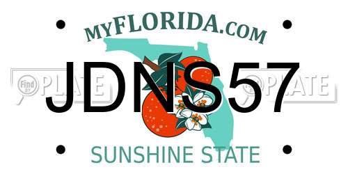 JDNS57 Florida License Plate