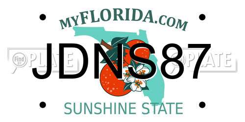 JDNS87 Florida License Plate