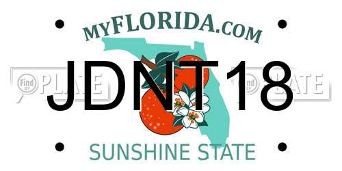 JDNT18 Florida License Plate