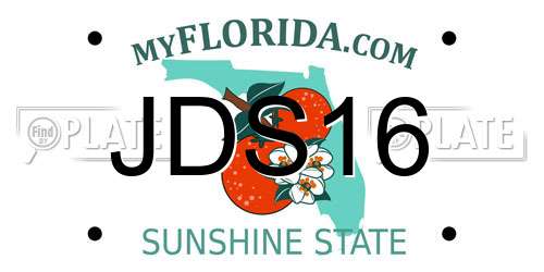 JDS16 Florida License Plate