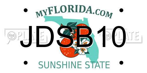 JDSB10 Florida License Plate