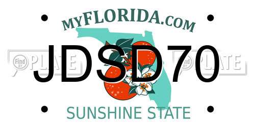 JDSD70 Florida License Plate
