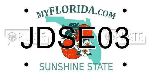 JDSE03 Florida License Plate