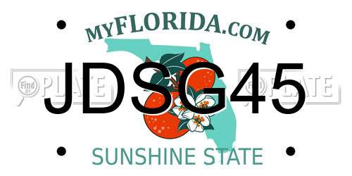 JDSG45 Florida License Plate