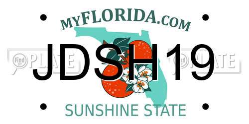 JDSH19 Florida License Plate
