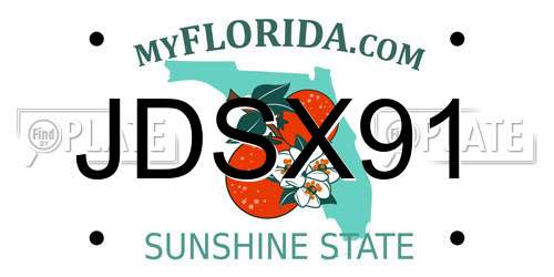 JDSX91 Florida License Plate