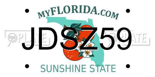 JDSZ59 Florida License Plate