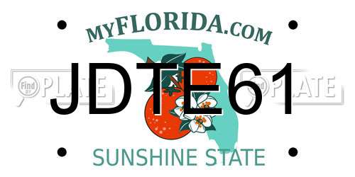 JDTE61 Florida License Plate