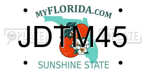 JDTM45 Florida License Plate