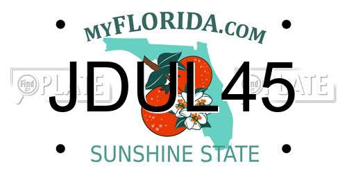 JDUL45 Florida License Plate