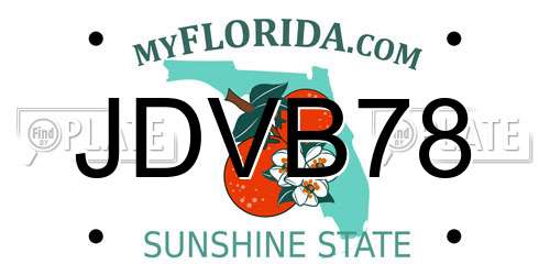 JDVB78 Florida License Plate