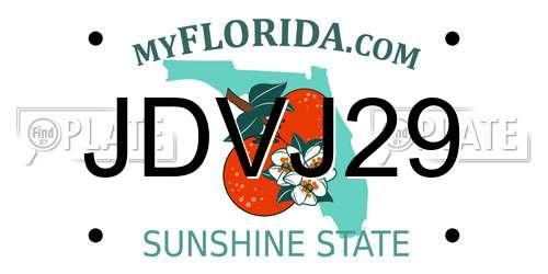 JDVJ29 Florida License Plate
