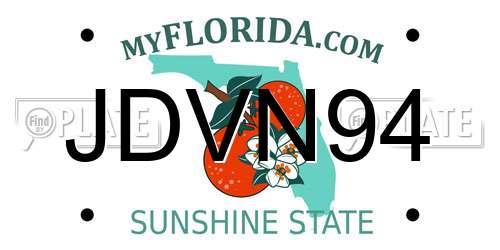 JDVN94 Florida License Plate