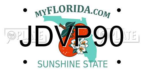 JDVP90 Florida License Plate