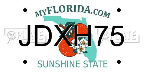 JDXH75 Florida License Plate