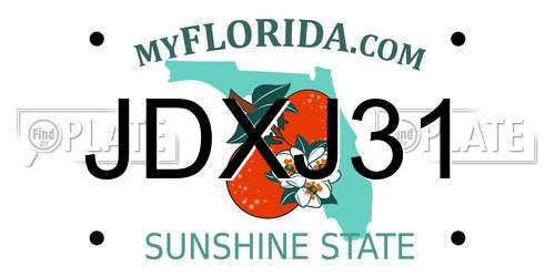 JDXJ31 Florida License Plate