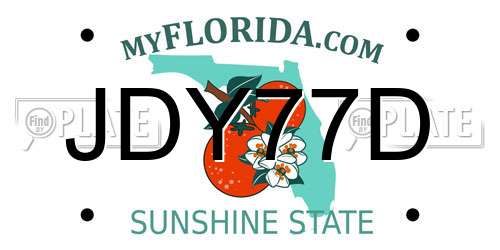 JDY77D Florida License Plate