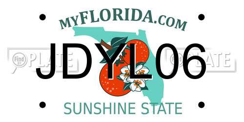 JDYL06 Florida License Plate