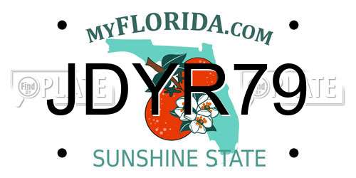 JDYR79 Florida License Plate