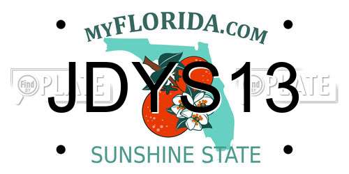 JDYS13 Florida License Plate