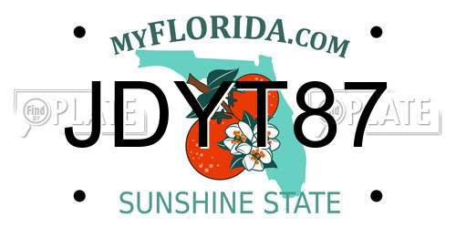 JDYT87 Florida License Plate