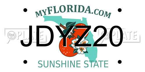 JDYZ20 Florida License Plate