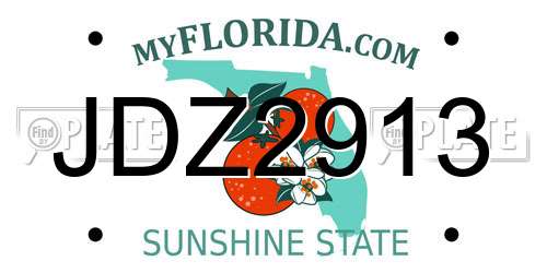 JDZ2913 Florida License Plate