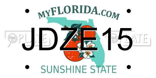 JDZE15 Florida License Plate