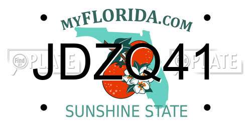 JDZQ41 Florida License Plate