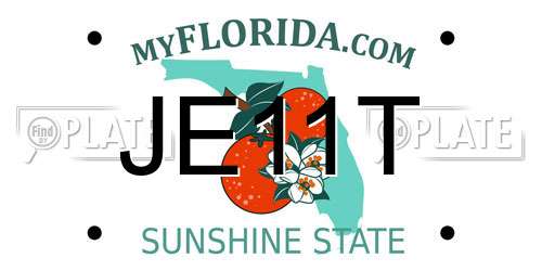 JE11T Florida License Plate
