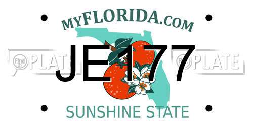JE177 Florida License Plate