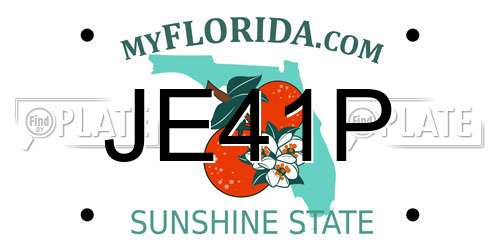 JE41P Florida License Plate