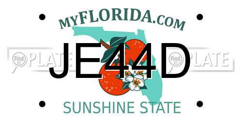 JE44D Florida License Plate