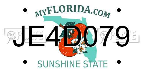 JE4D079 Florida License Plate