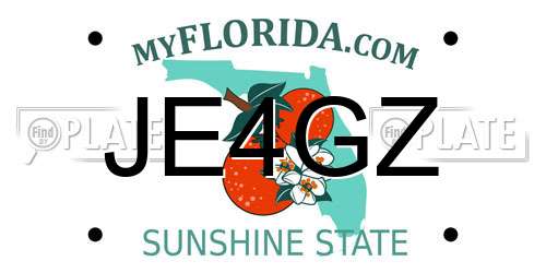 JE4GZ Florida License Plate